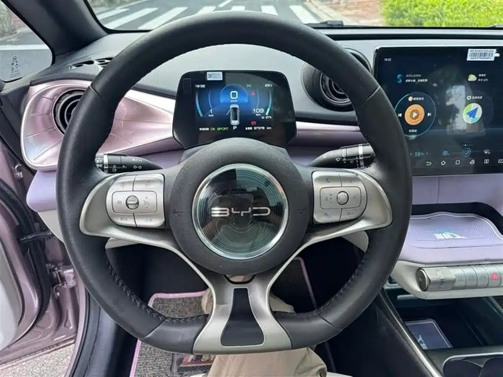BYD Dolphin 2021 405km Fashion