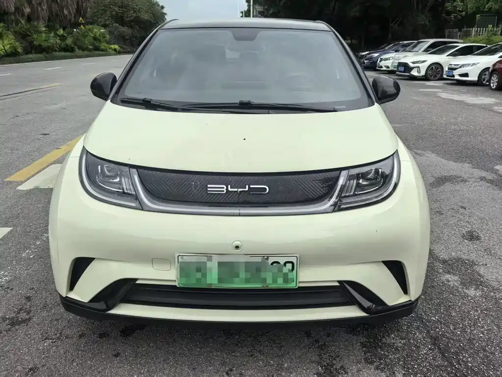 BYD Dolphin 2021 405km Fashion
