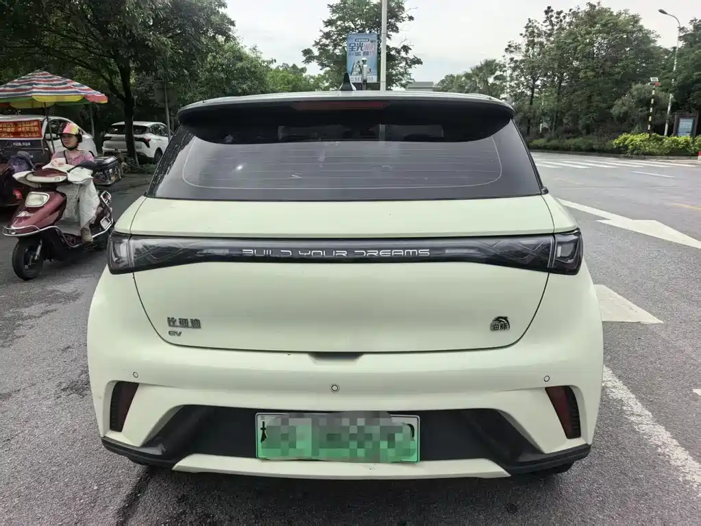 BYD Dolphin 2021 405km Fashion