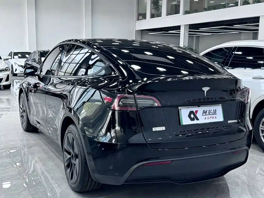 Tesla Model Y — миниатюра 6