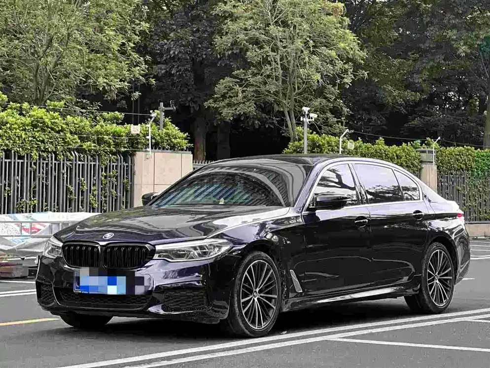 BMW 5 Series 2020 530Li xDrive M Sport Package