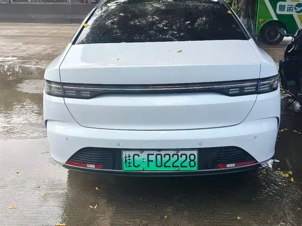 BYD Destroyer 05 2024 DM-i 55KM Luxury