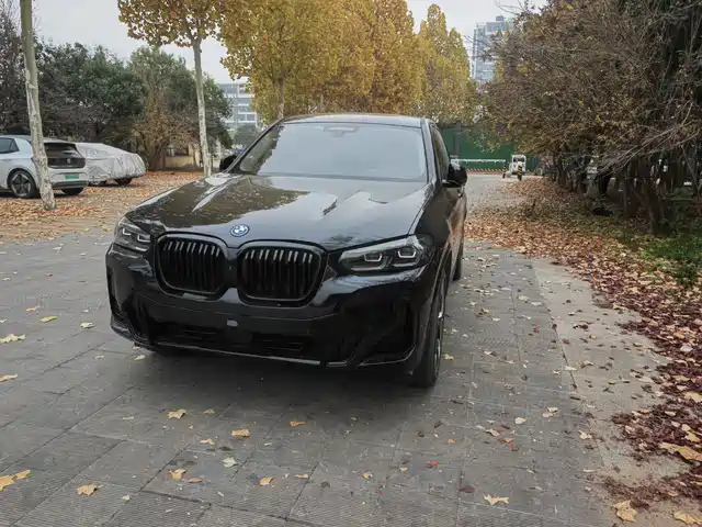 BMW IX3 2023