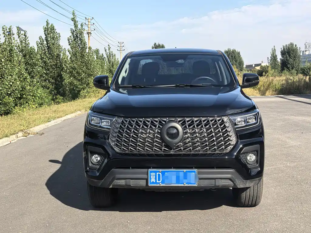 Great Wall Pao — миниатюра 2