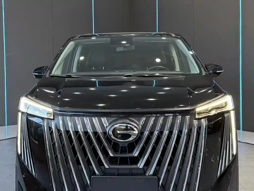 GAC Motor Trumpchi M8 — миниатюра 2