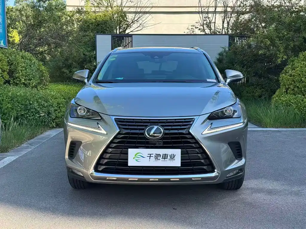 Lexus NX — миниатюра 2