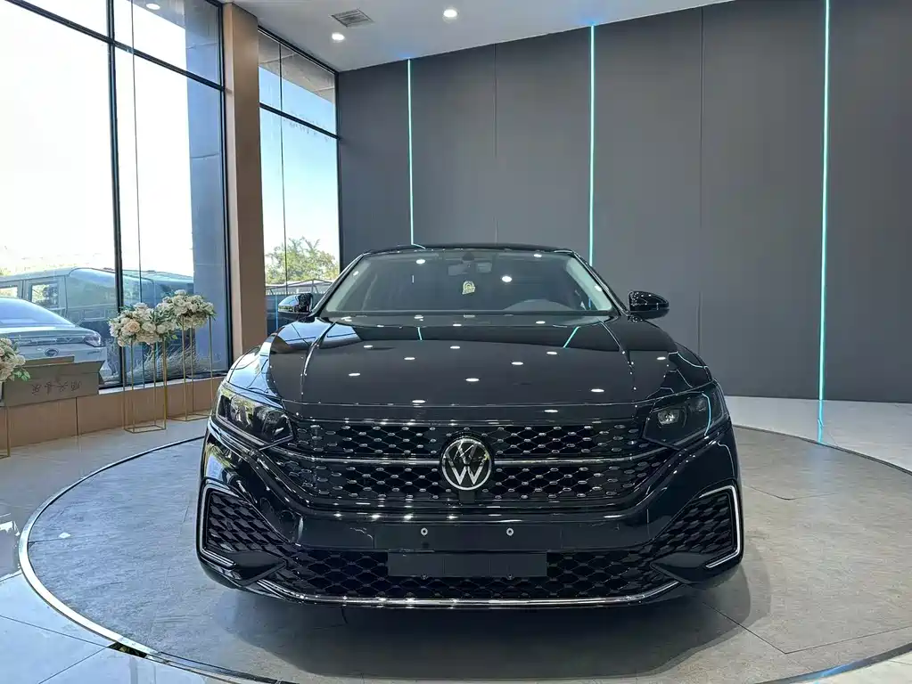 Volkswagen Passat — миниатюра 2