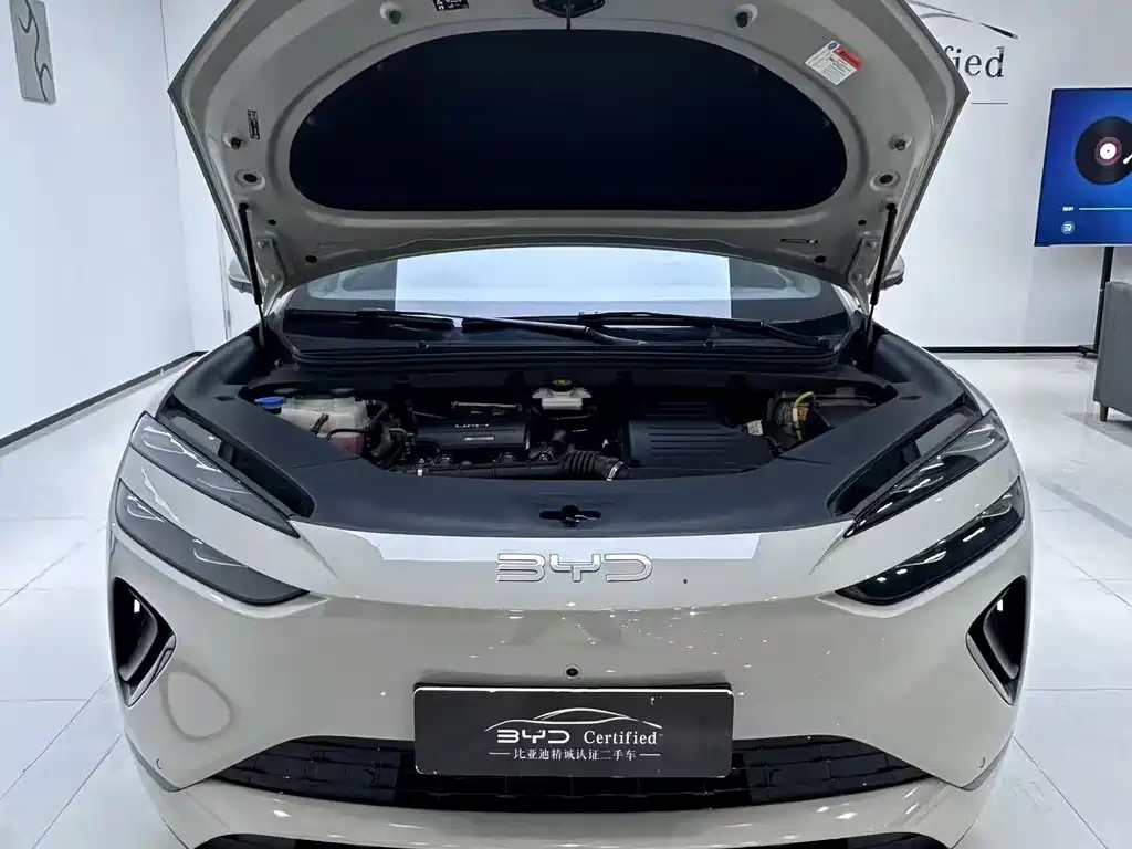 BYD Sealion 06 — миниатюра 9