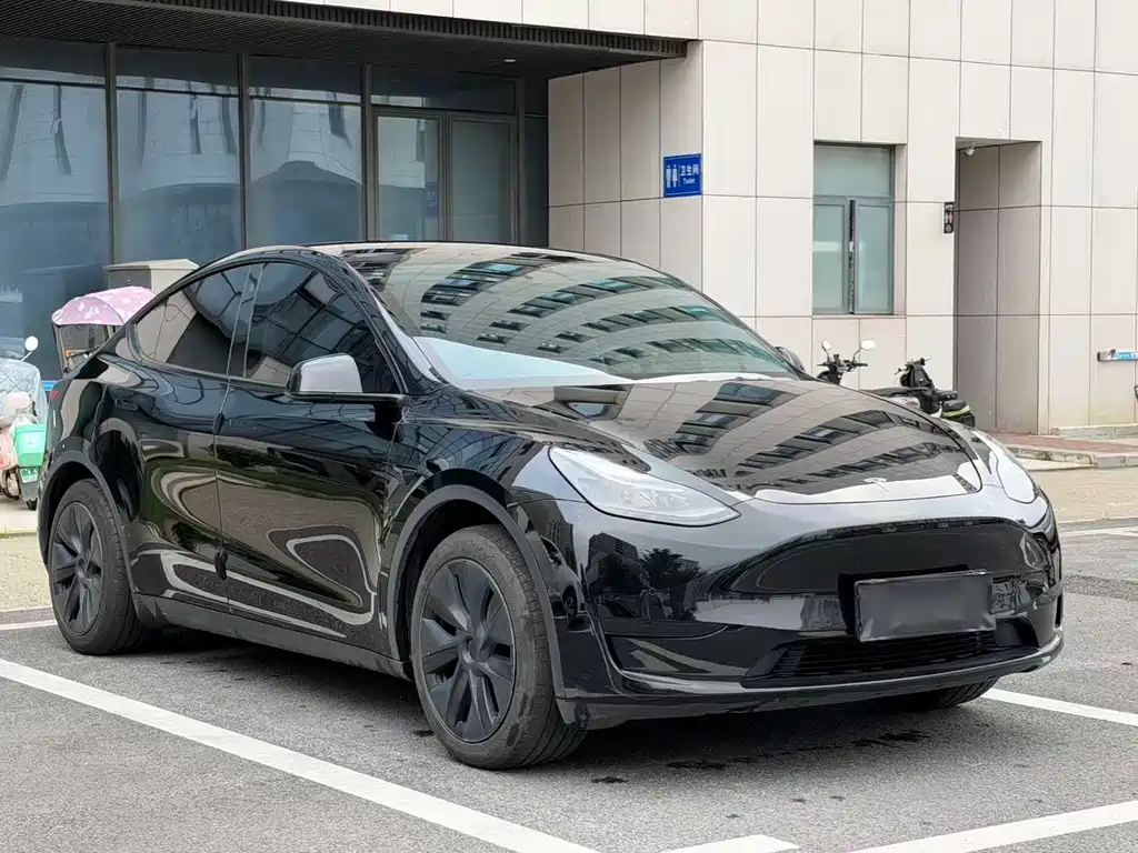 Tesla Model Y — миниатюра 8