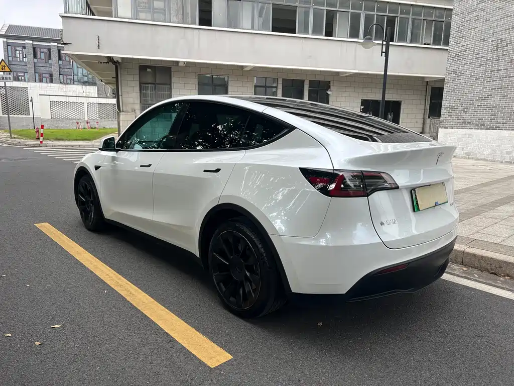 Tesla Model Y — миниатюра 4