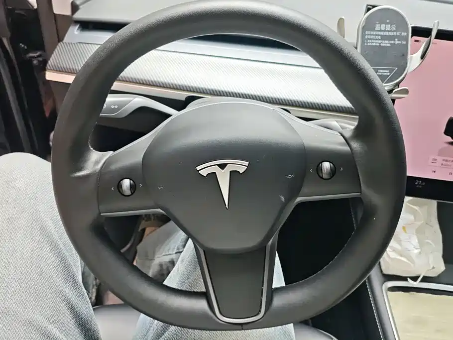 Tesla Model Y — миниатюра 15
