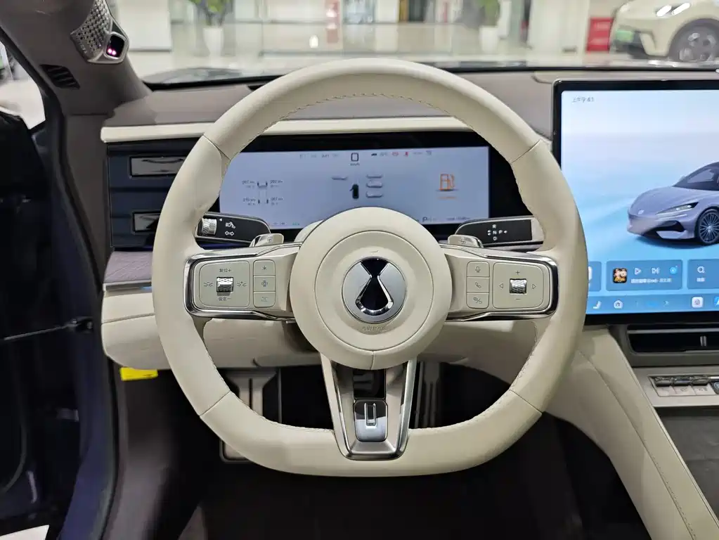 Denza Denza Z9 — миниатюра 9