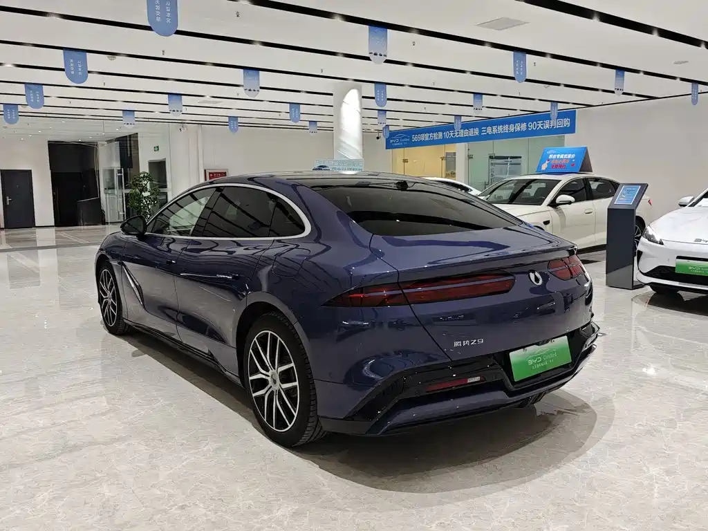 Denza Denza Z9 — миниатюра 13