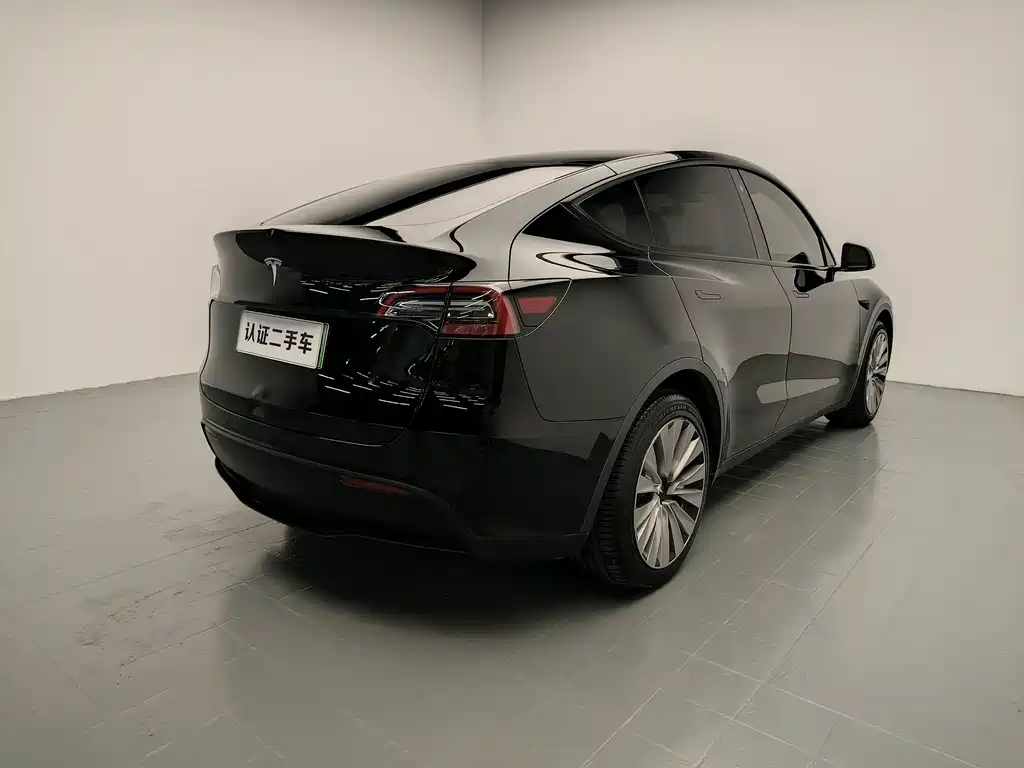 Tesla Model Y — миниатюра 7