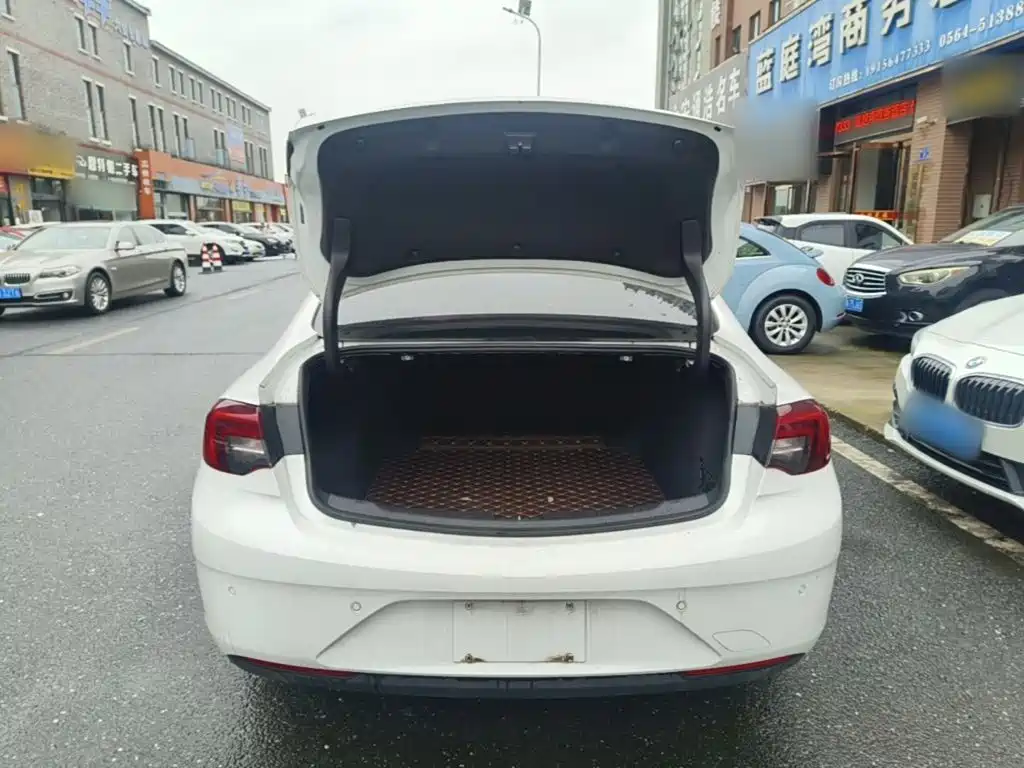 Buick Regal — миниатюра 19
