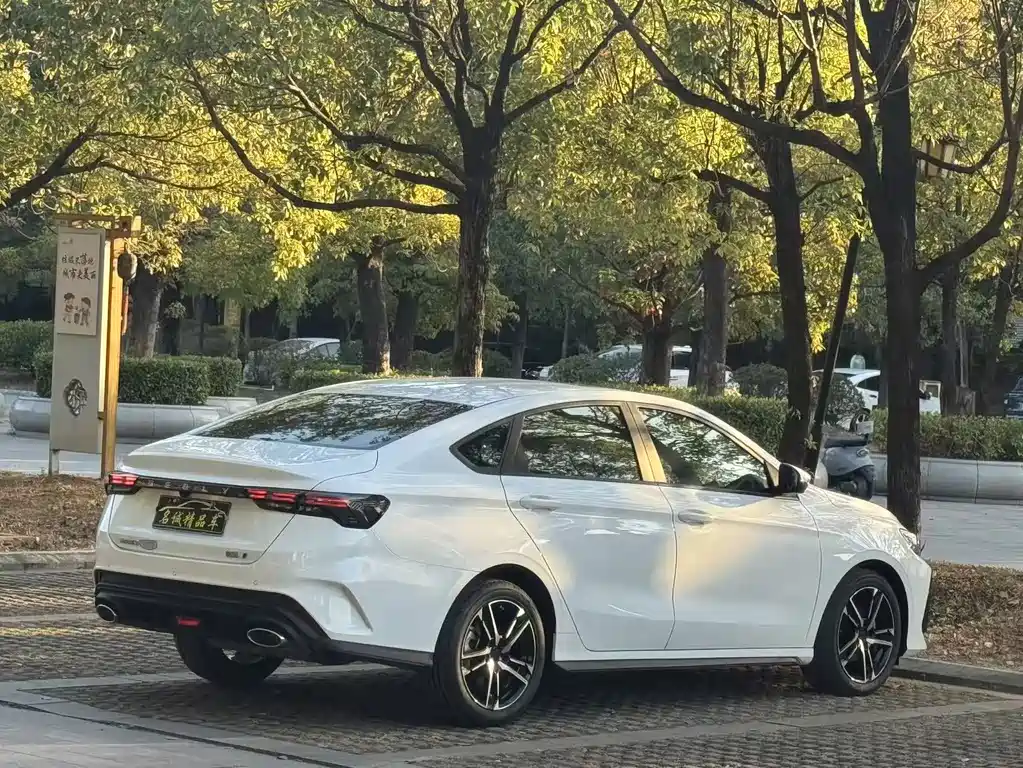 GEELY AUTOMOBILE BINRUI
