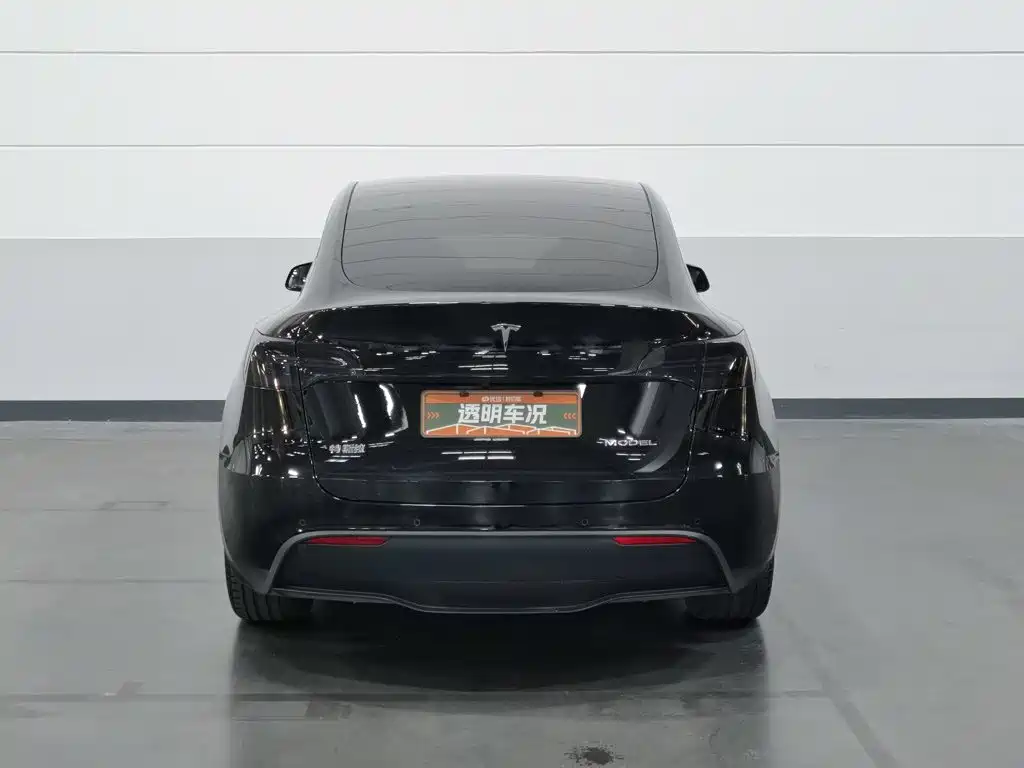 Tesla Model Y — миниатюра 4