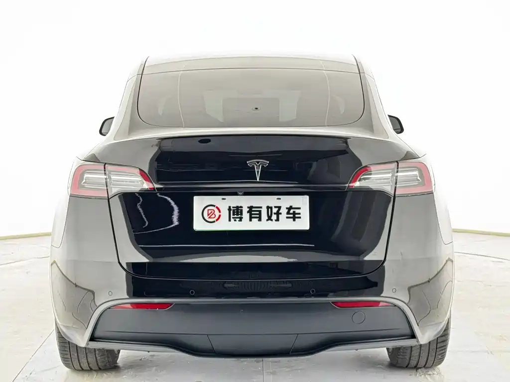 Tesla Model Y — миниатюра 13