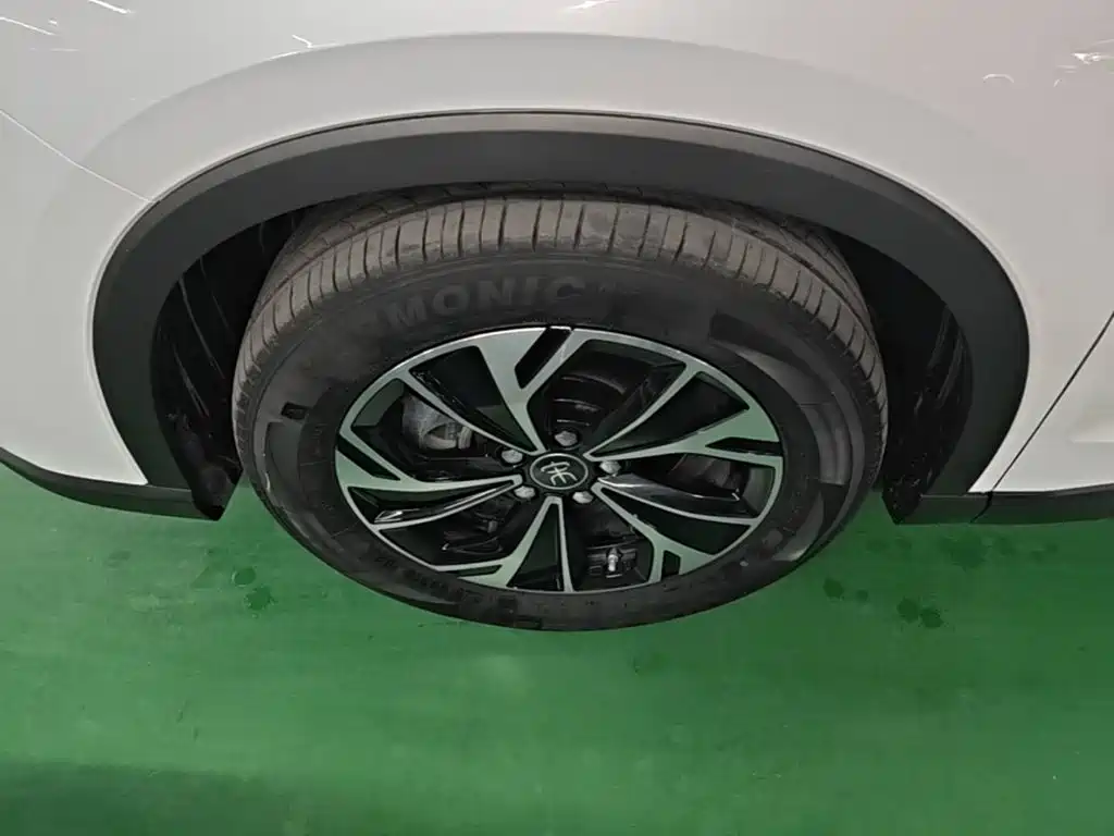 BYD Song Pro DM-i 2025 — фото 22