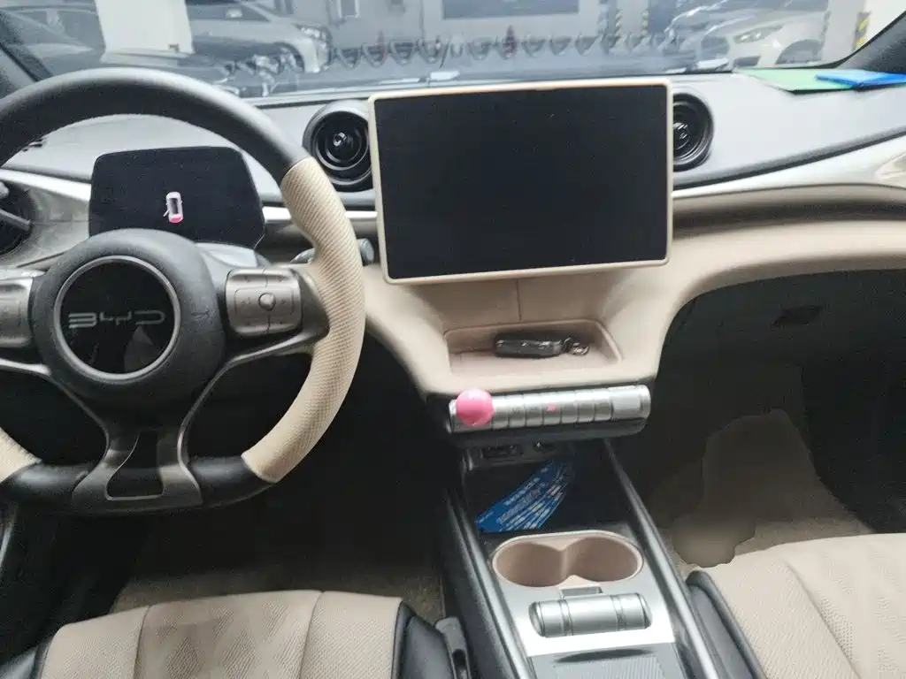 BYD Dolphin — миниатюра 10