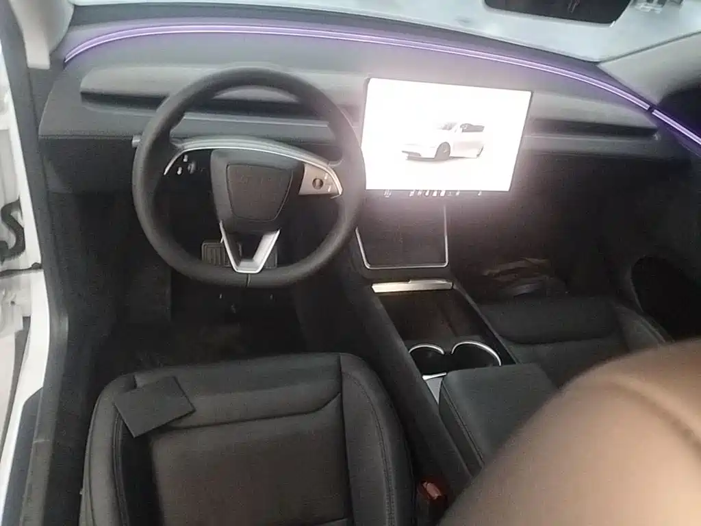 Tesla Model Y — миниатюра 10
