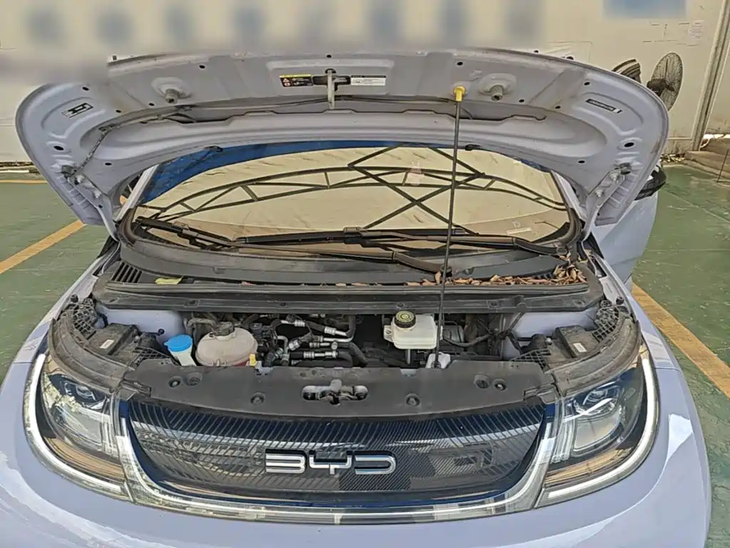 BYD Dolphin — миниатюра 20