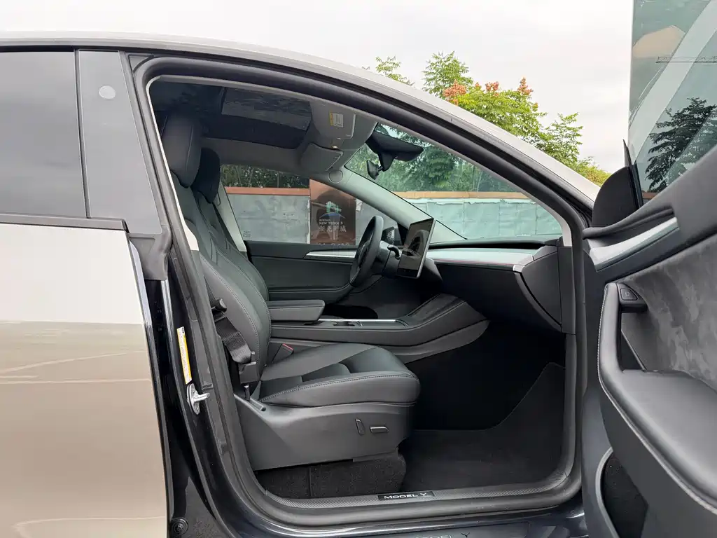 Tesla Model Y — миниатюра 14
