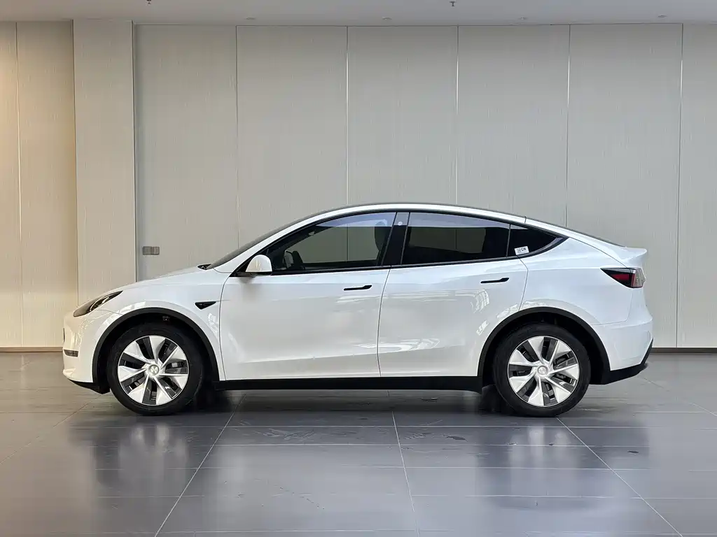 Tesla Model Y — миниатюра 7
