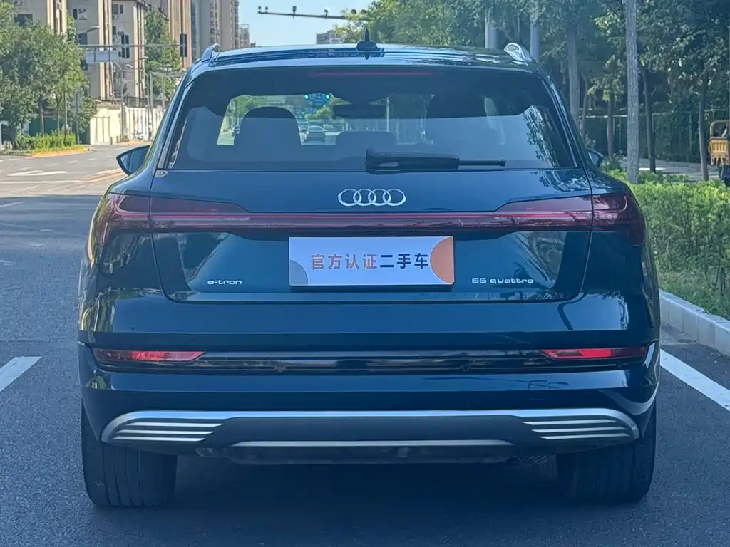 Audi e-tron (Import) — миниатюра 5