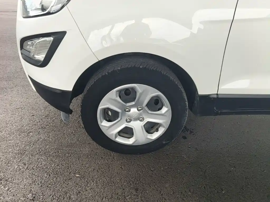 Ford Ecosport — миниатюра 23