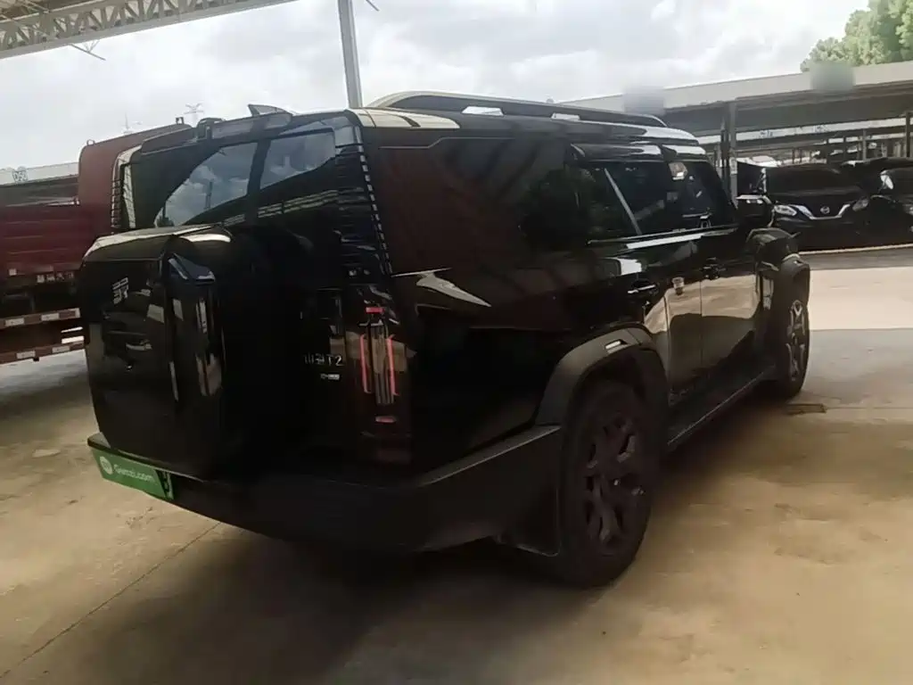 Shanhai Traveller C-DM — миниатюра 7