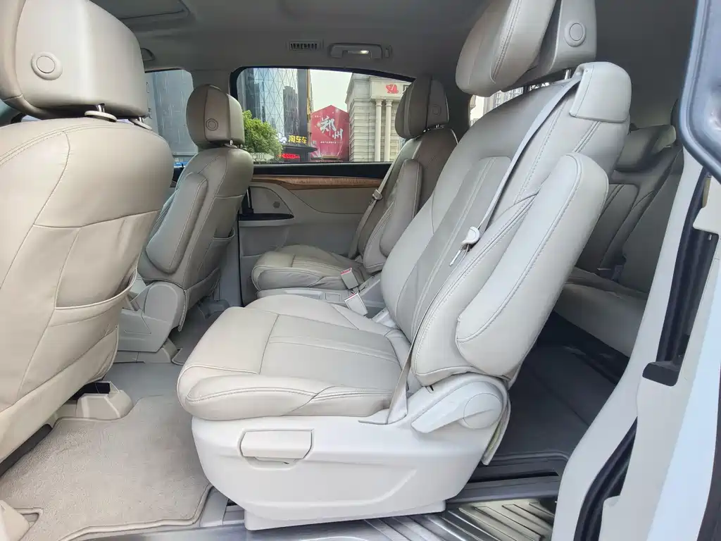 Buick GL8 — миниатюра 16