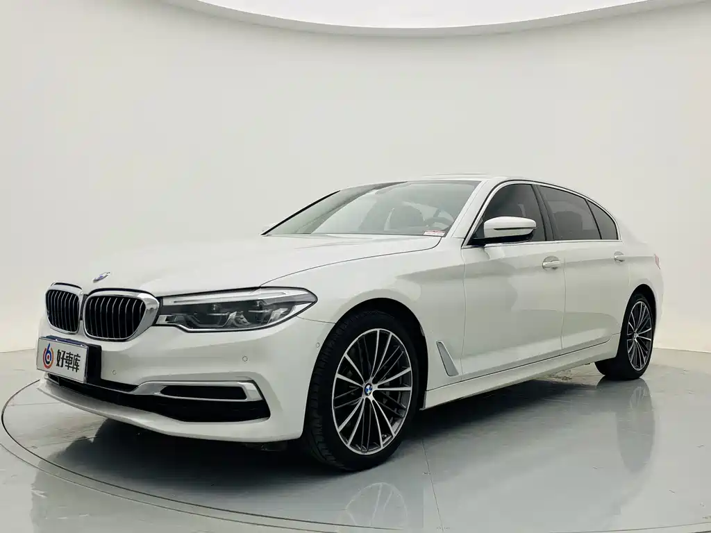 BMW 5 Series 5 2020 530Li Premium Luxury