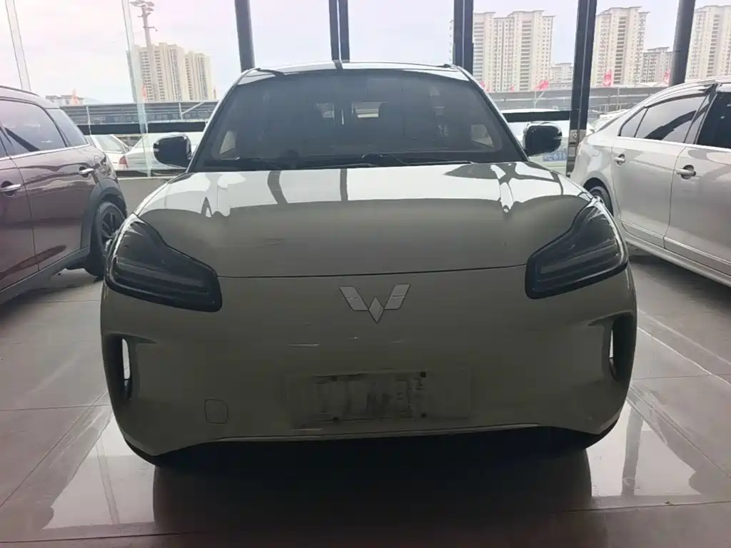 Wuling BinguoPLUS PLUS 2024 330km мест