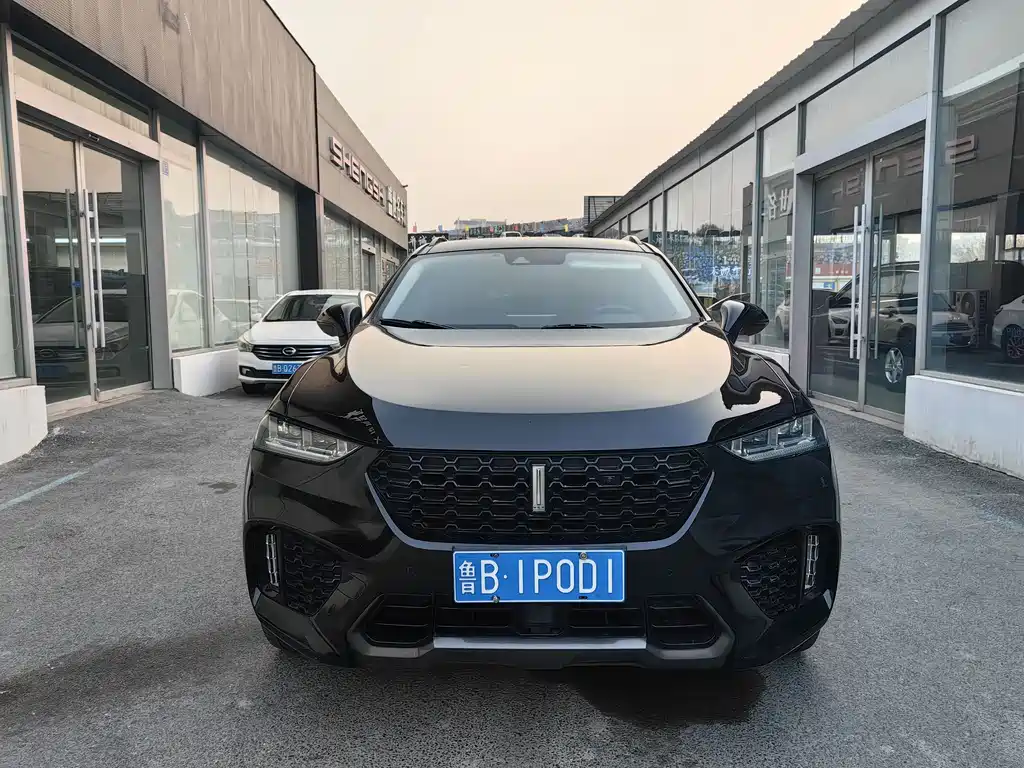 WEI PAI WEI BRAND VV7