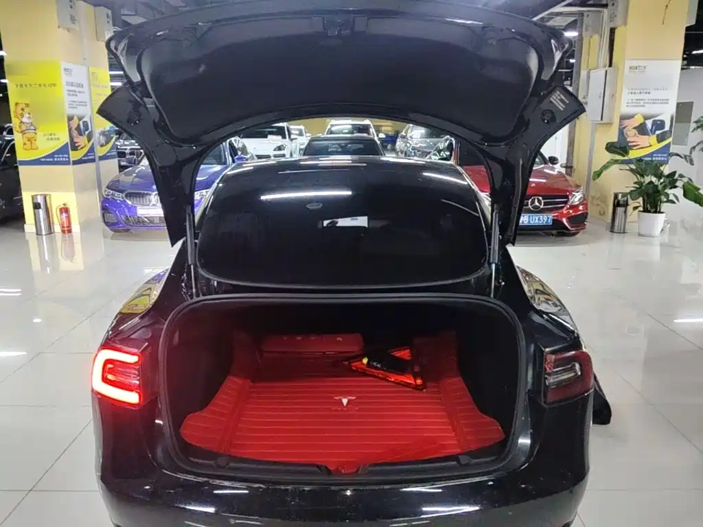 Tesla Model 3 — миниатюра 19