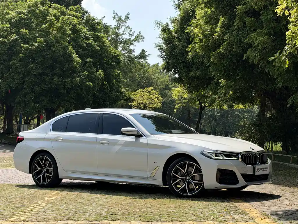BMW 5 Series — миниатюра 4