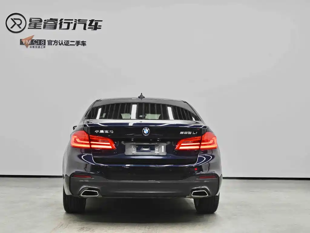 BMW 5 Series — миниатюра 8