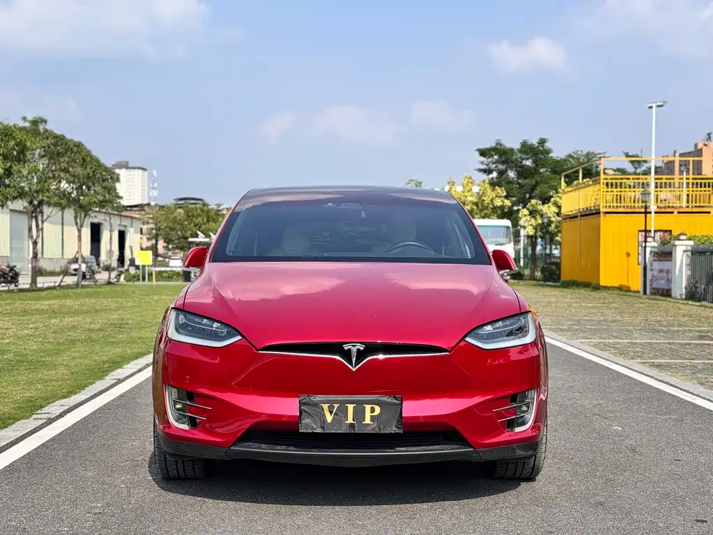 Tesla Model X — миниатюра 2