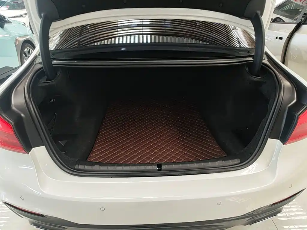 BMW 5 Series — миниатюра 19
