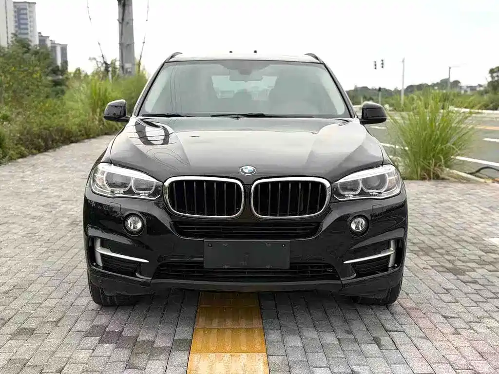 BMW X5 (Import) — миниатюра 2