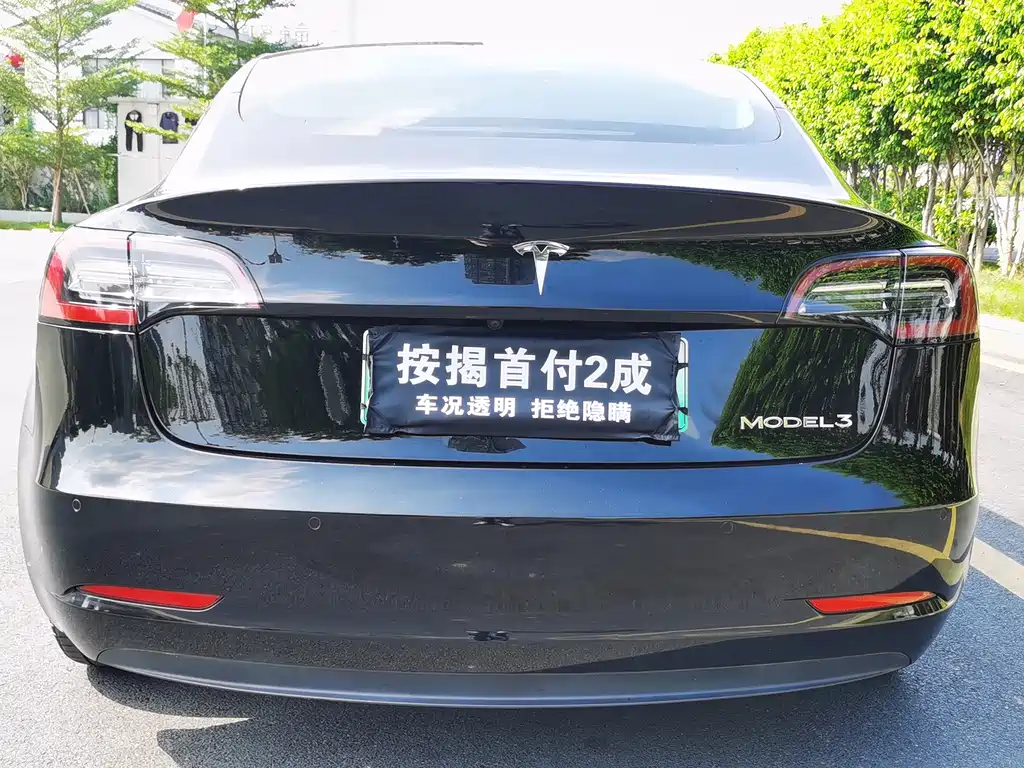 Tesla Model 3 — миниатюра 4