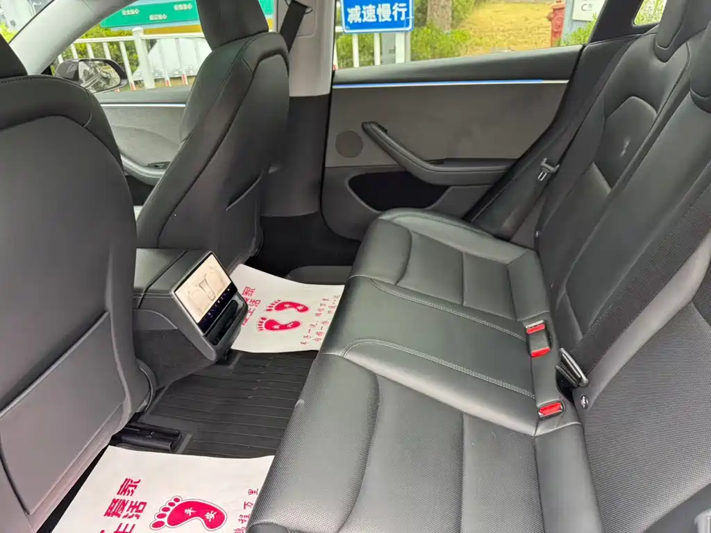 Tesla Model 3 — миниатюра 6