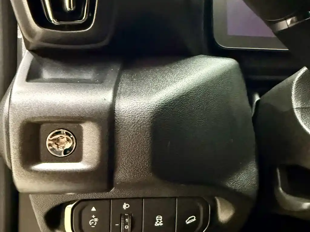 Haval Big Dog PLUS — миниатюра 13