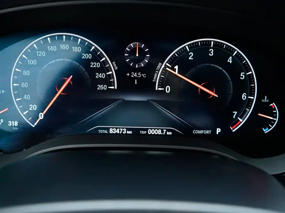 BMW 5 Series 5 2019 530Li Premium Luxury