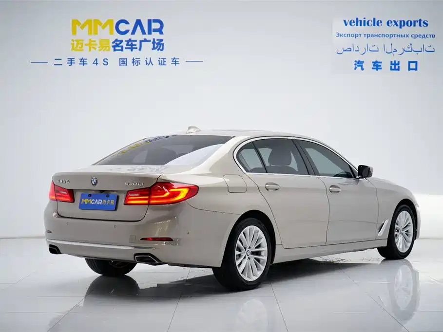 BMW 5 Series 5 2019 530Li Premium Luxury