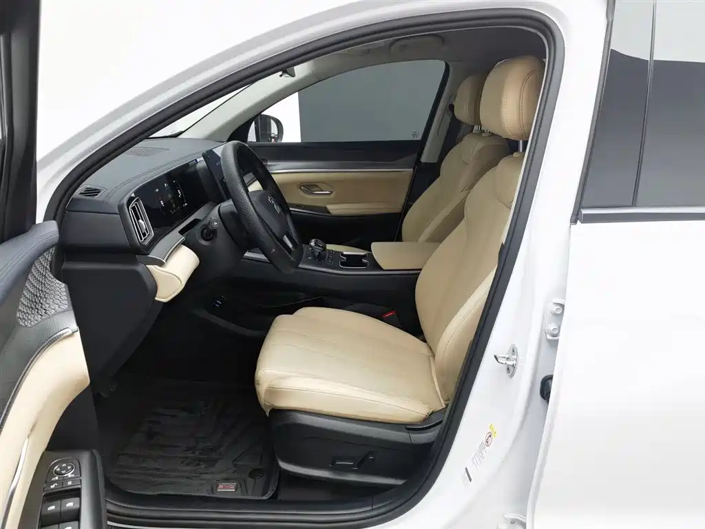 BYD SONGJIANG NEW ENERGY