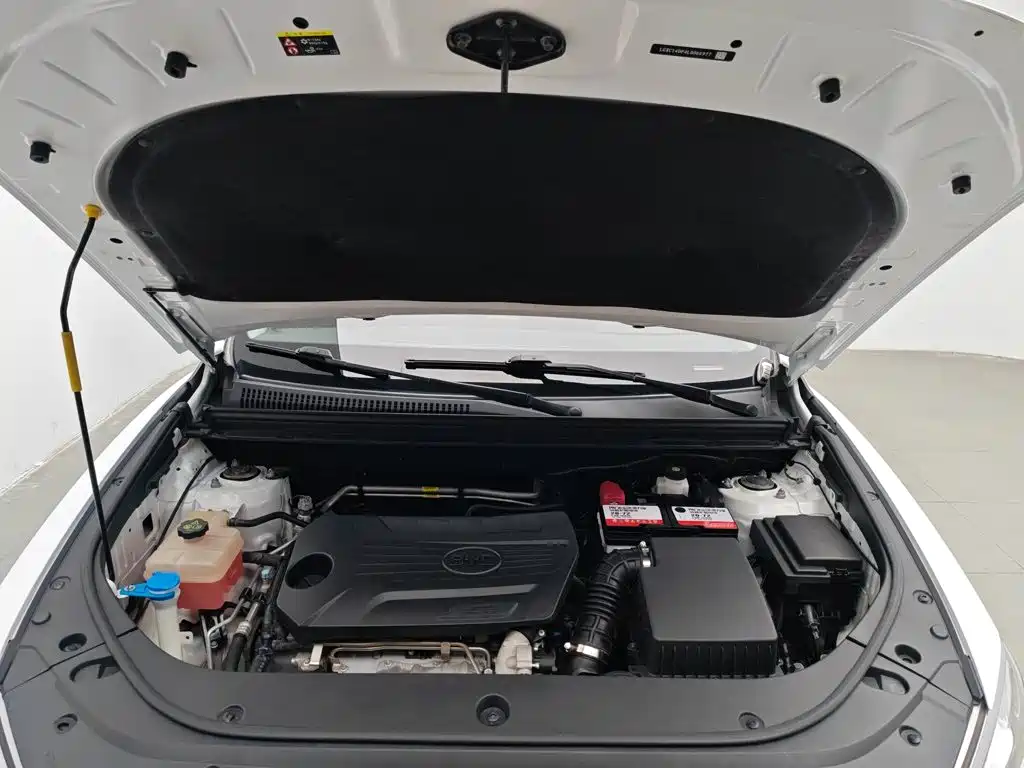 BYD Pro — миниатюра 6