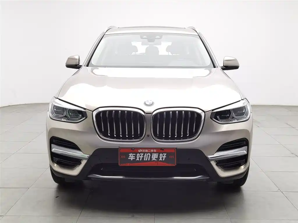 BMW X3 2019 xDrive25i Luxury