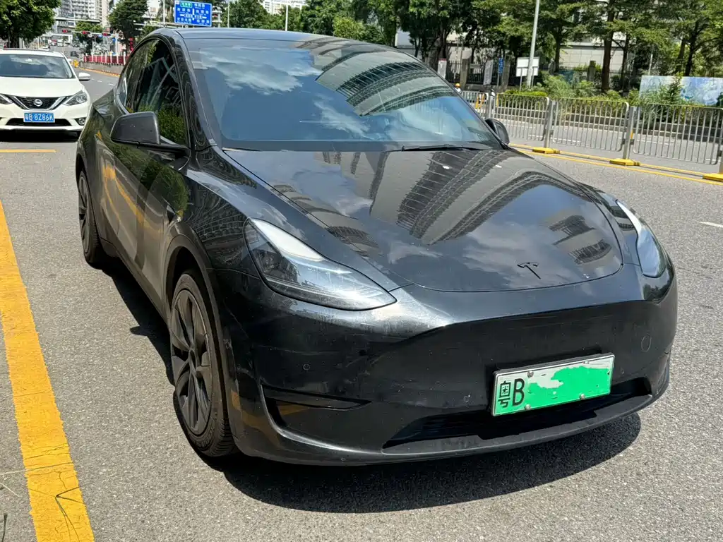 Tesla Model Y — миниатюра 2